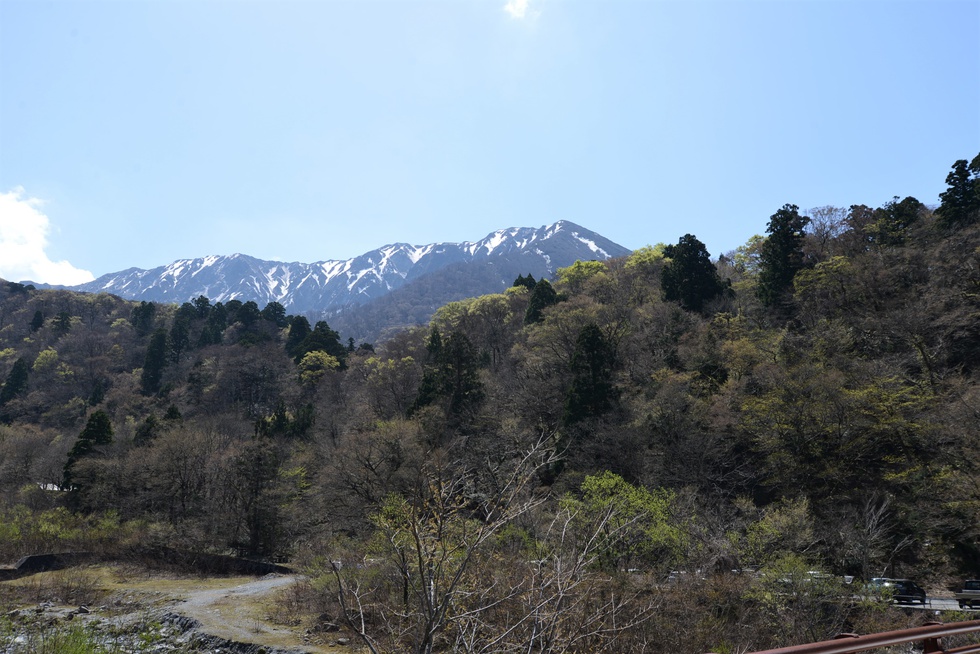 大山寺橋より新緑と残雪.jpg