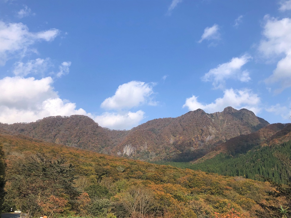 健康の森と烏ヶ山.JPG