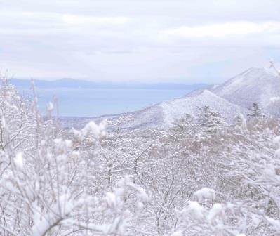 雪の日、大山寺橋.JPG