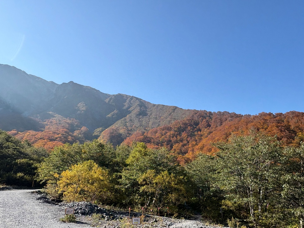 251108紅葉 元谷 (1).JPG
