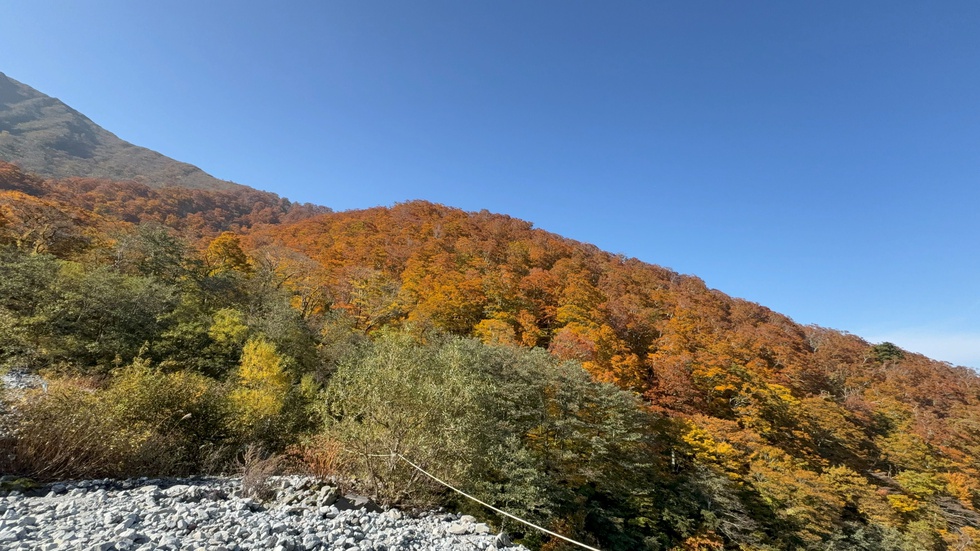 251108紅葉 元谷 (3).JPG