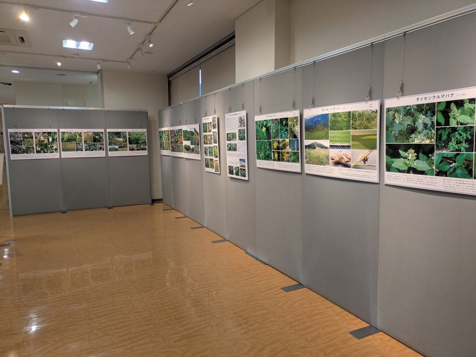 企画展 (5).jpg