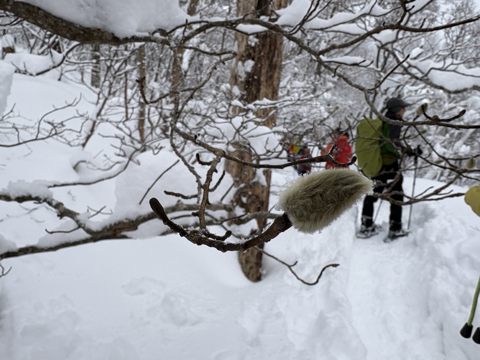 260131冬の横手道を歩こう (22).JPG