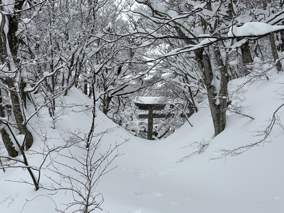 260131冬の横手道を歩こう (37).JPG