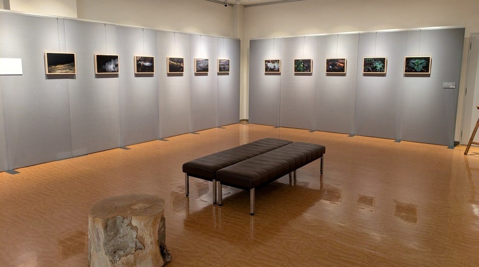 20260626_窪田展 (13).jpg
