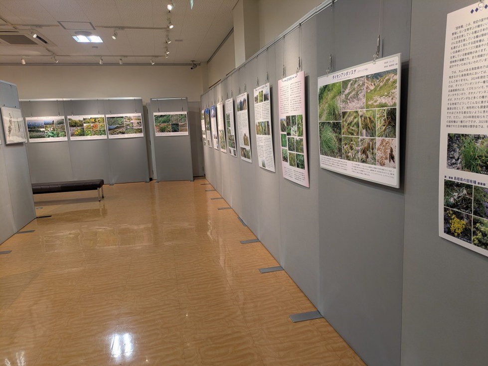 企画展 (2).jpg