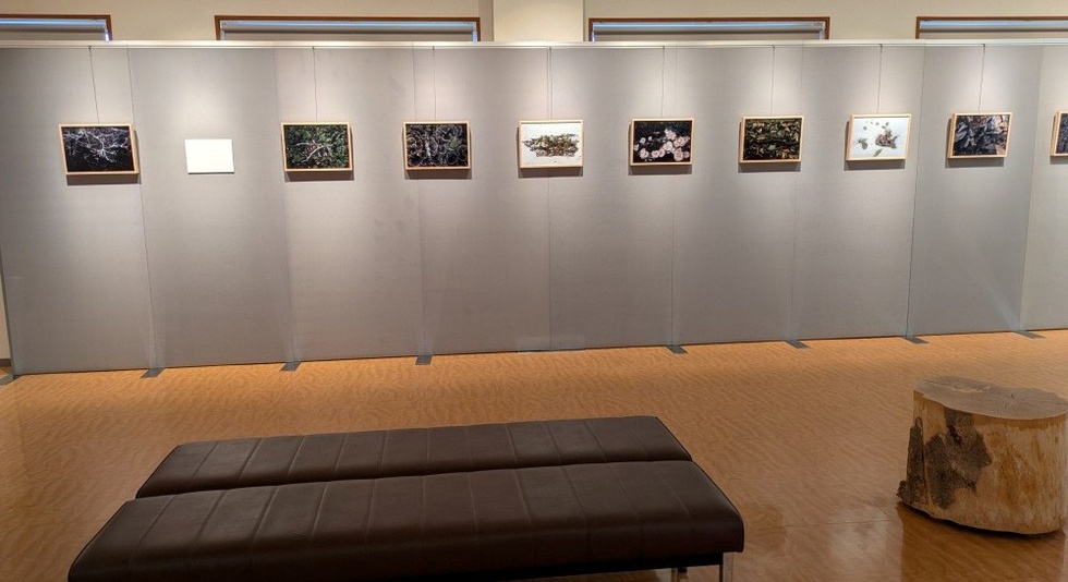 20260626_窪田展 (15).jpg