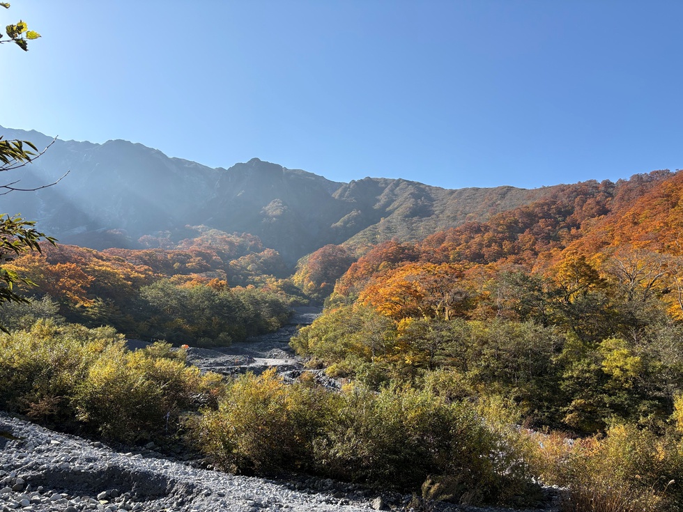 251108紅葉 元谷 (2).JPG