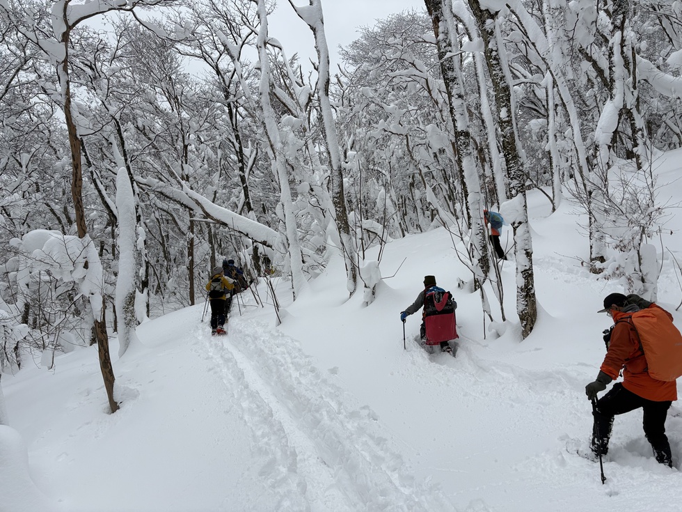 260131冬の横手道を歩こう (31).JPG