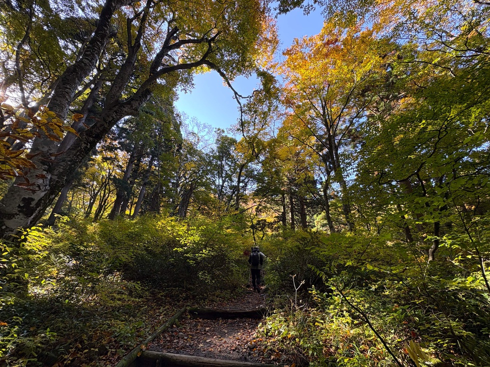 251108紅葉 神社∼元谷 (1).JPG
