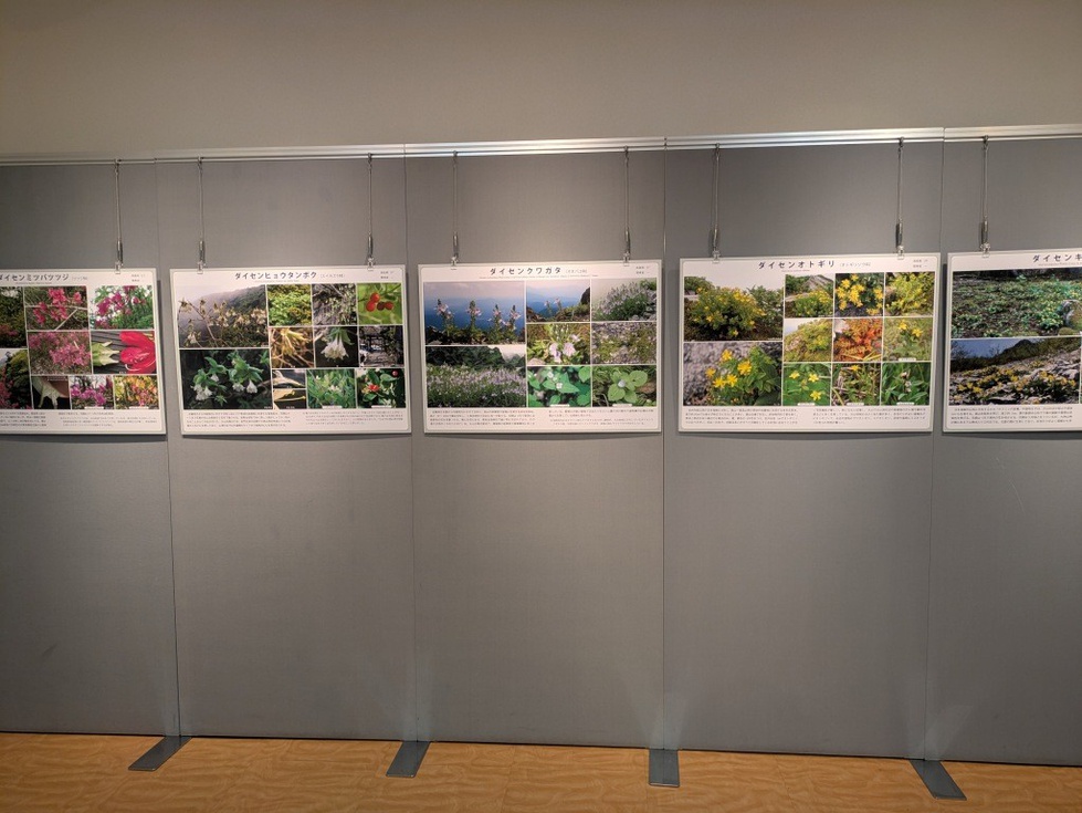 企画展 (3).jpg