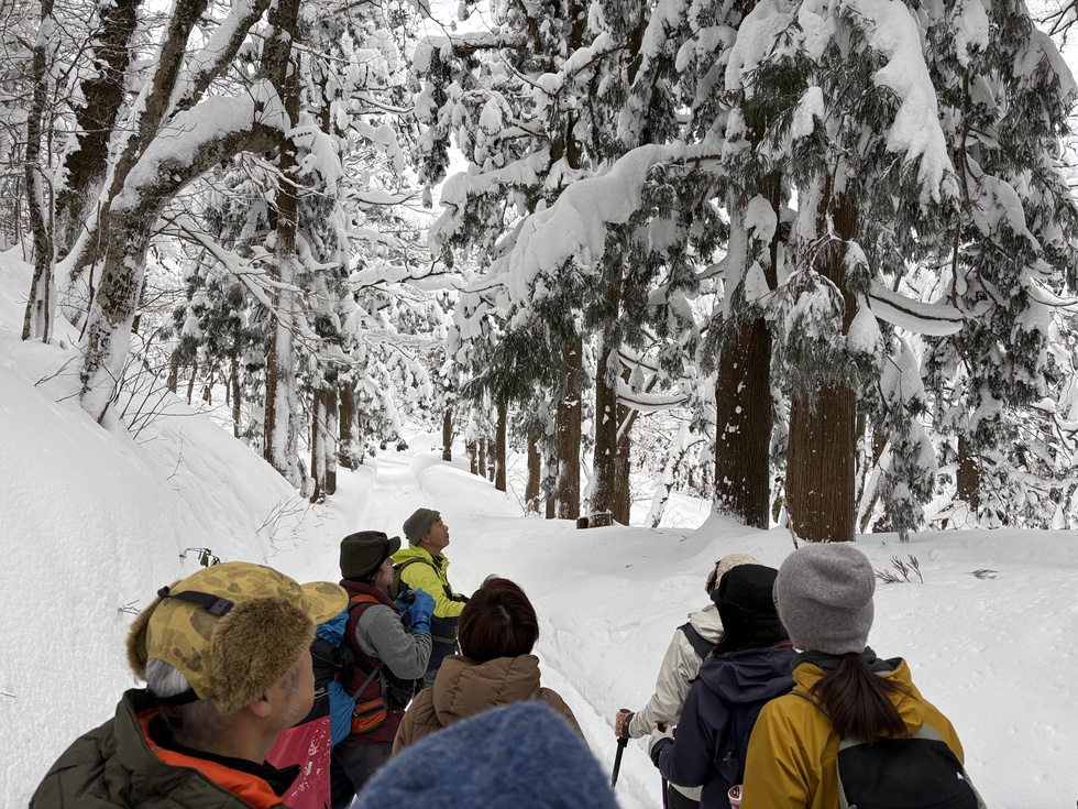 260131冬の横手道を歩こう (11).JPG