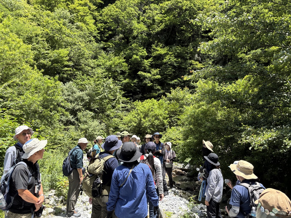 250720夏の大山自然観察会 (33).JPG