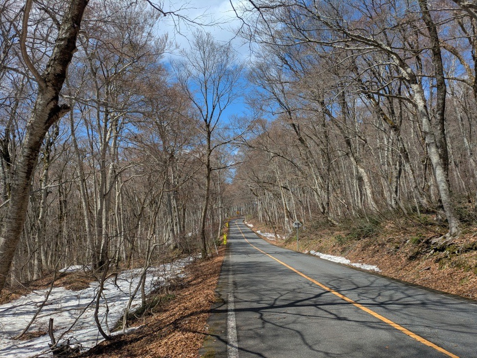 20260407_環状道路開通 (8).jpg