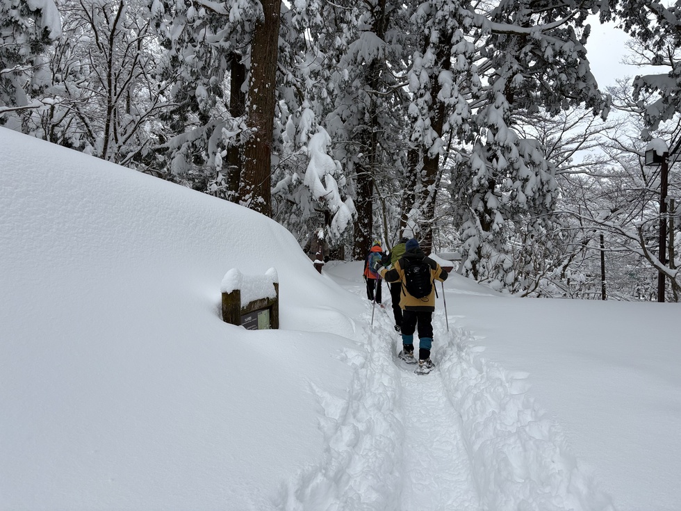 260131冬の横手道を歩こう (6).JPG