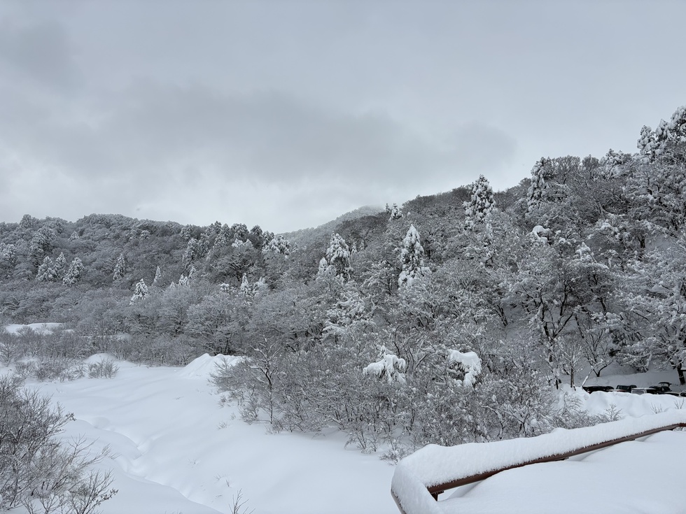 260131冬の横手道を歩こう (3).JPG