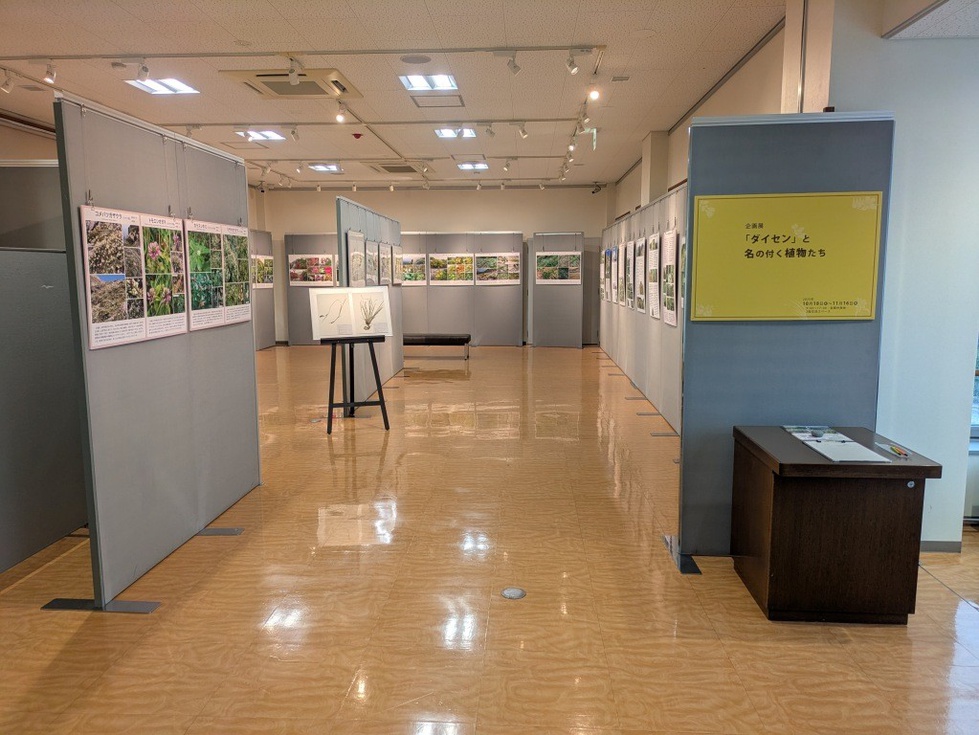 企画展 (1).jpg
