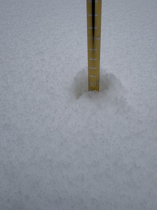 260131冬の横手道を歩こう (28).JPG