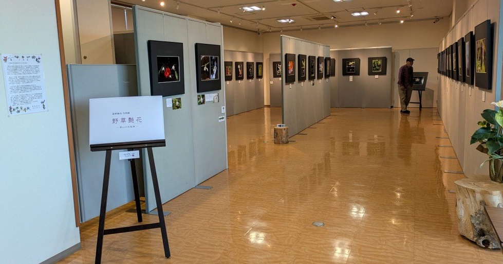 20260606_会場 (1).jpg