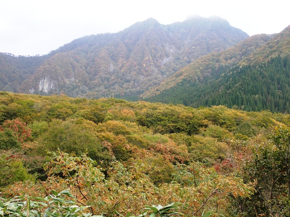 PA200078.JPG