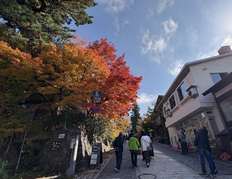 251108紅葉 参道 (2).JPG