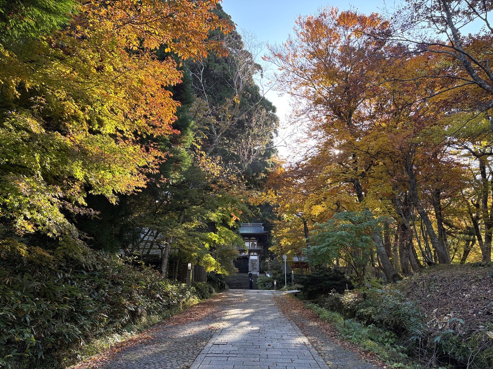 251108紅葉 大山寺山門下.JPG