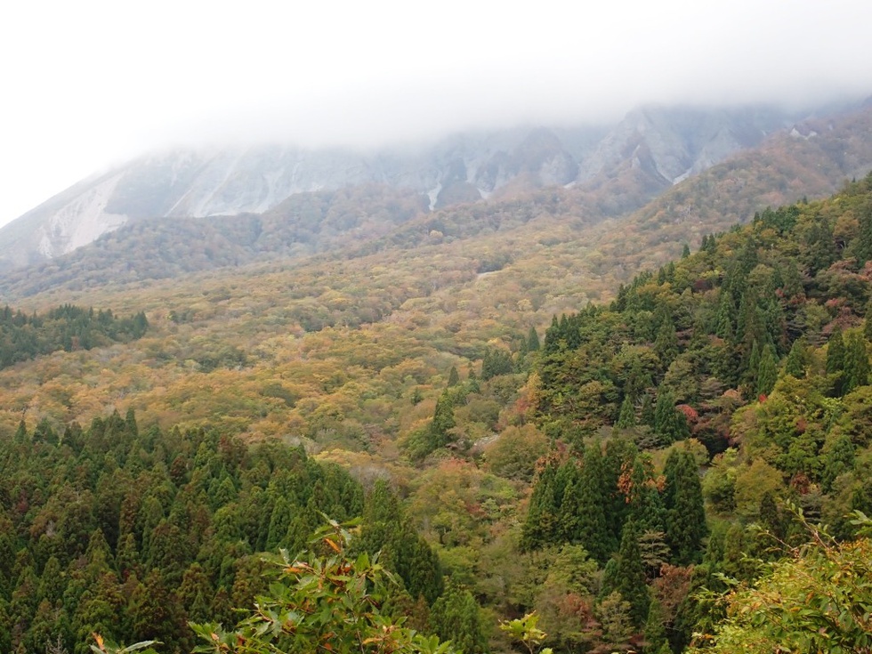 PA200079.JPG