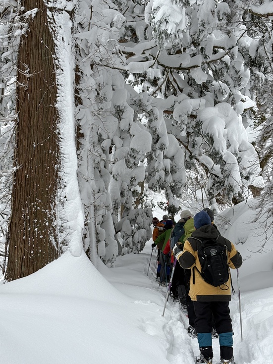 260131冬の横手道を歩こう (9).JPG