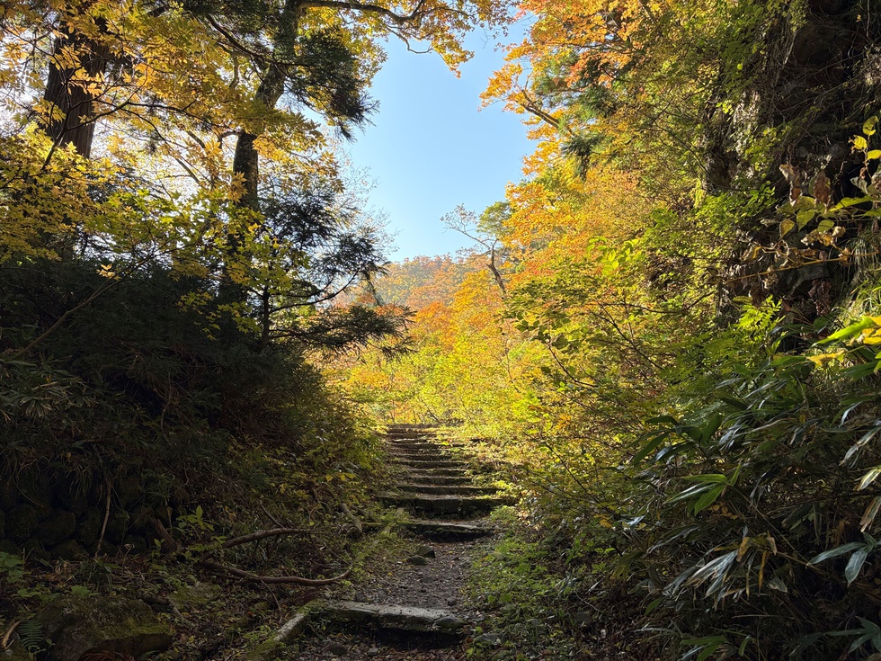 251108紅葉 金門入口 (2).JPG