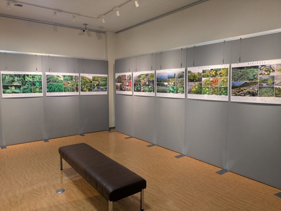 企画展 (4).jpg