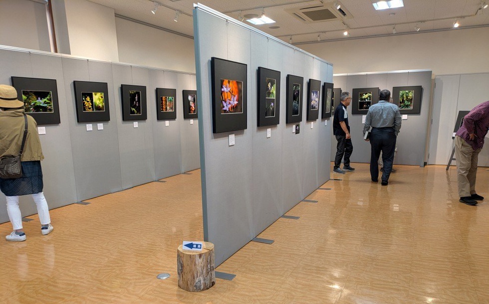 20260606_会場 (4).jpg