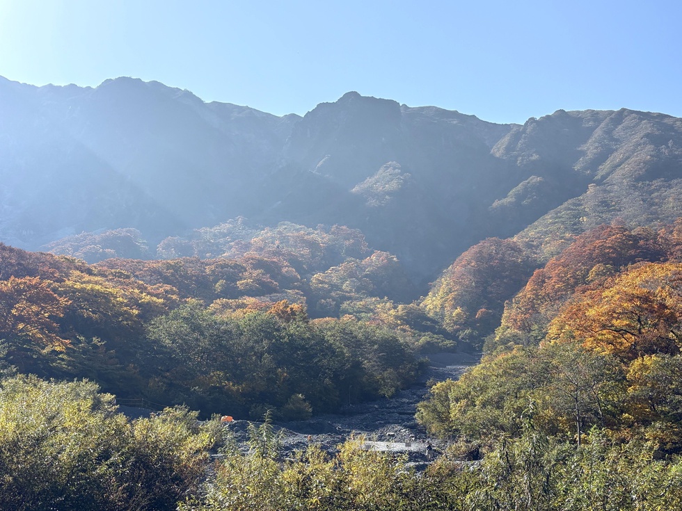 251108紅葉 元谷 (4).JPG