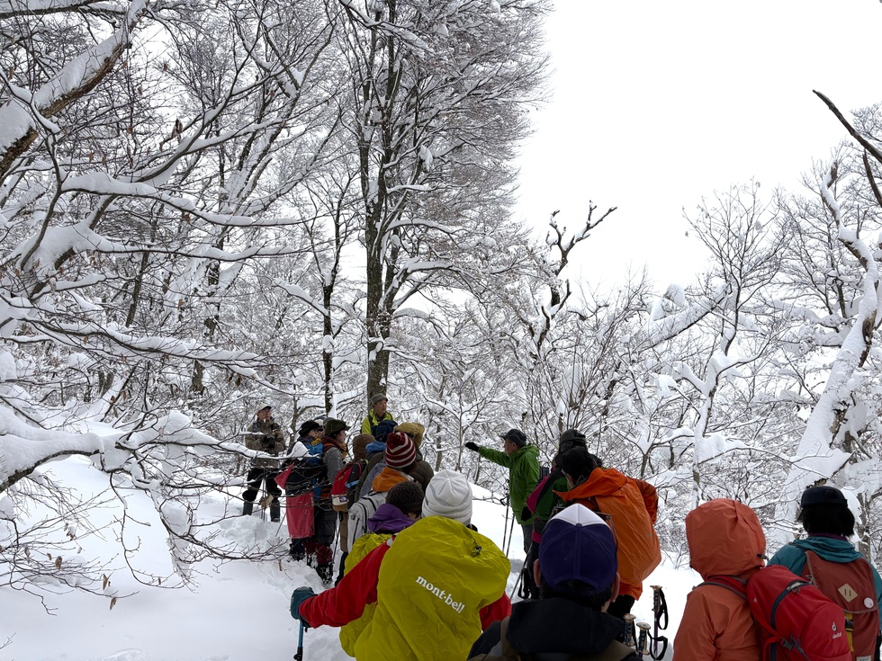 260131冬の横手道を歩こう (17).JPG