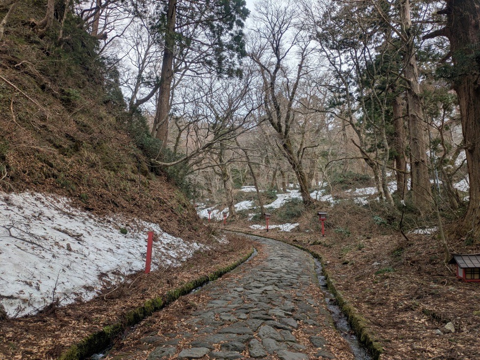 20260330_大山寺雪のようす02.jpg