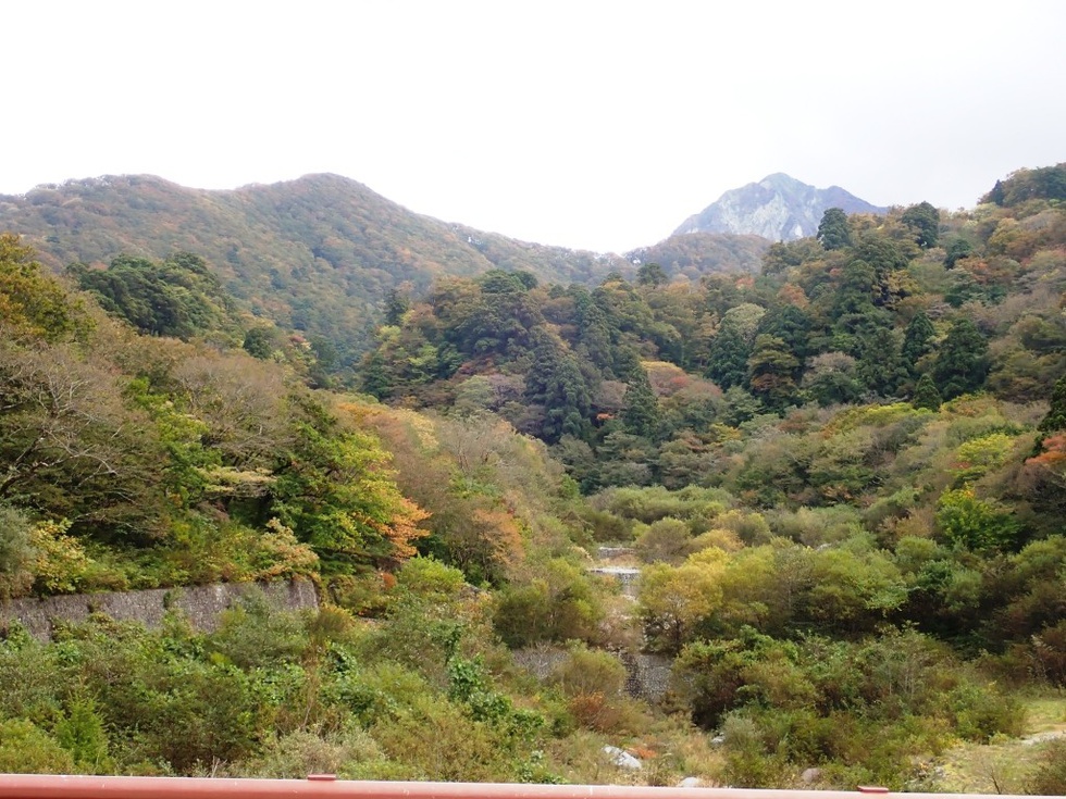 PA200100.JPG